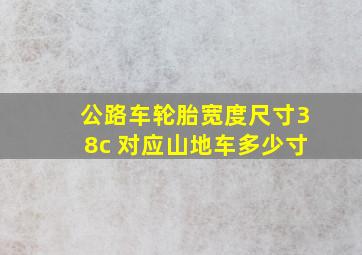 公路车轮胎宽度尺寸38c 对应山地车多少寸